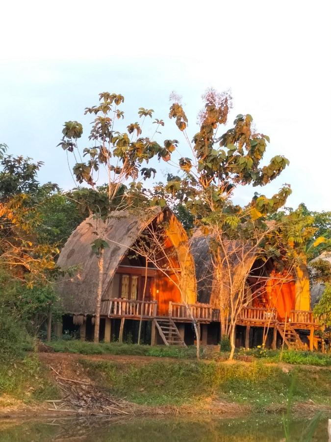 Forest Breath Eco-Lodge Cát Tiên Eksteriør bilde