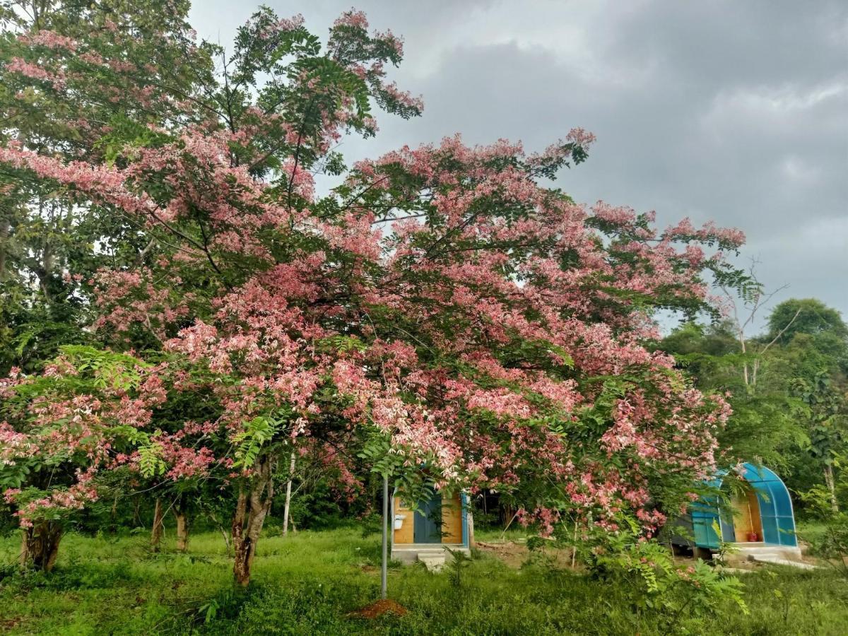 Forest Breath Eco-Lodge Cát Tiên Eksteriør bilde