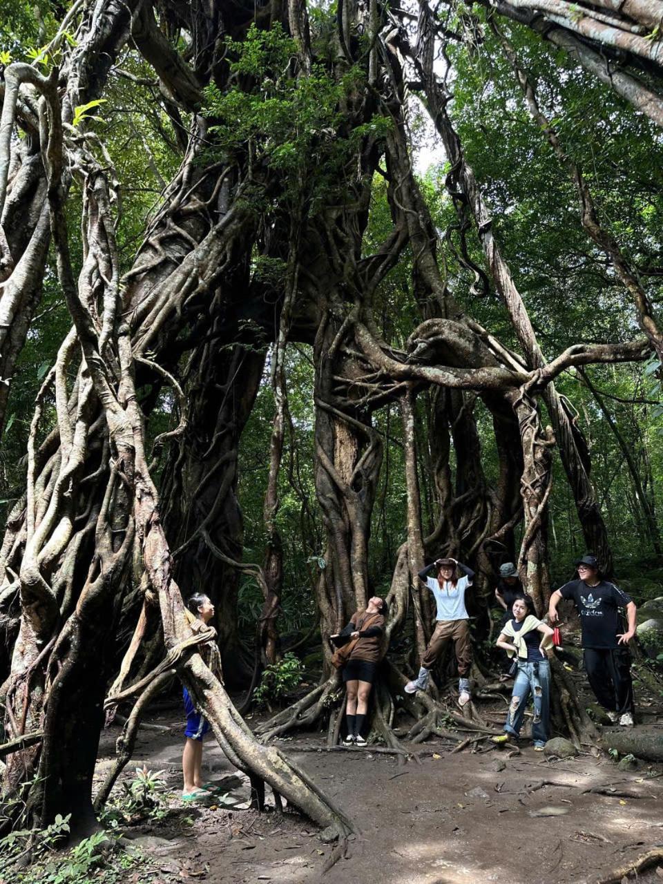 Forest Breath Eco-Lodge Cát Tiên Eksteriør bilde